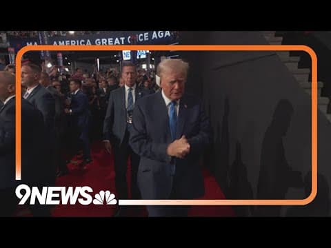 Political expert gives insight into Trump campaign