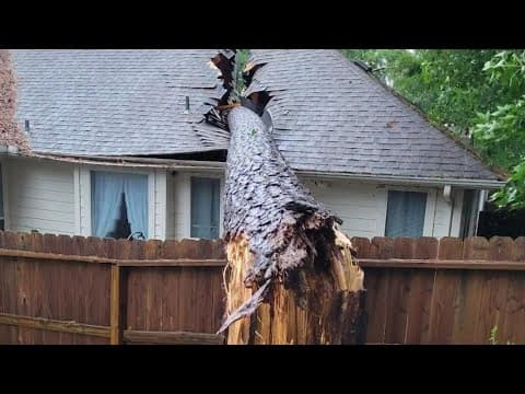 Why it could be your responsibility if a tree falls on your house in a storm