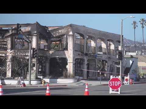 150 adoptable pets will make their way to North Texas from California today