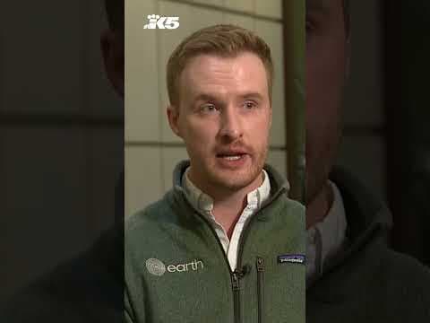 Seattle companies see growing demand for human composting