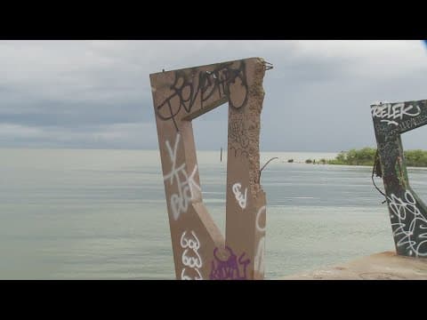 Families brave Lincoln Beach after alligator attack, warnings from city