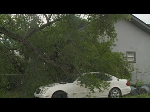 Tree marked for removal crushes New Orleans home during storms, owner says warning signs ignored
