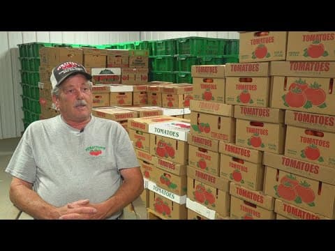 New documentary explores Grainger County tomato tradition