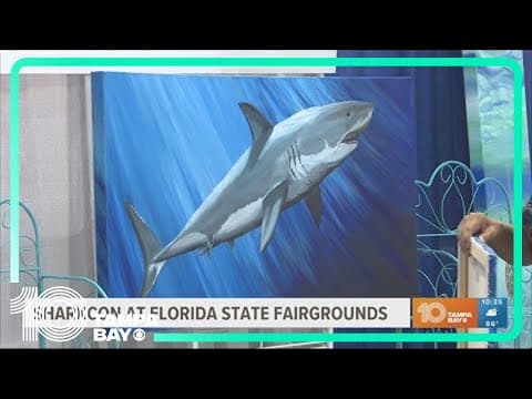 SharkCon returns to Tampa this weekend