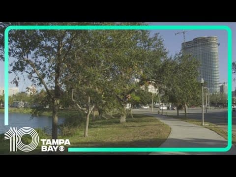 Mirror Lake named official historic district in St. Pete
