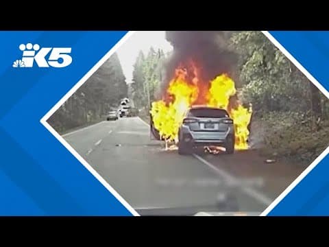 Kitsap County deputy helps save man and his dog from burning car