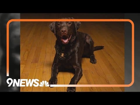 Colorado State Patrol announces new addition to the team