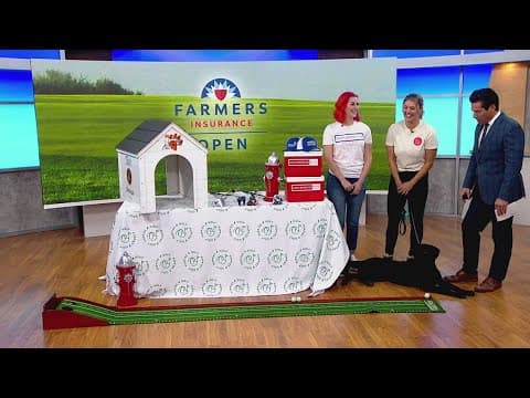 Puppies and Golf at Mavericks Beach Club