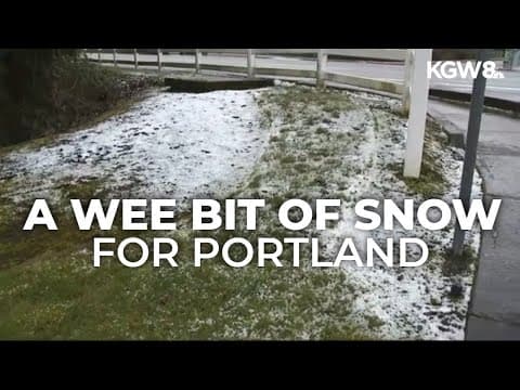 Portland metro saw its first — but brief — snowfall of 2025