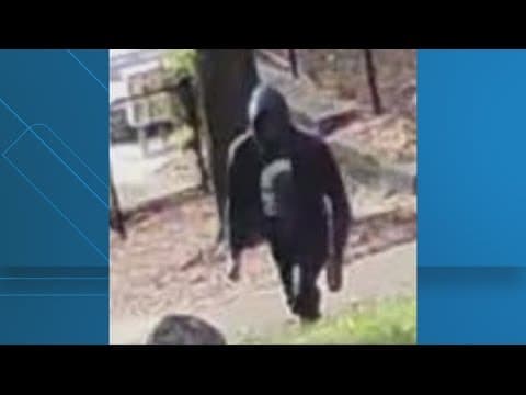 Neighbors working to track down man accused of abusing a puppy