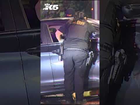 Two Seattle pot shops broken into by thieves early Friday morning #shorts  #news #king5 #seattle