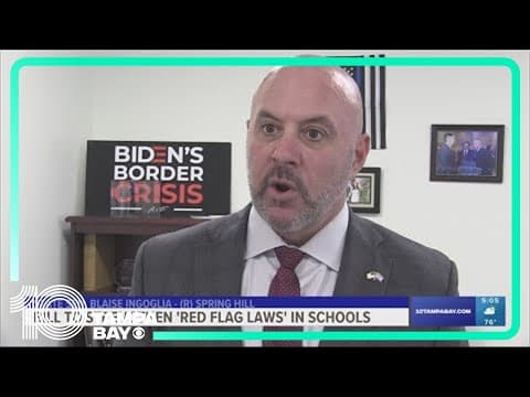 Florida lawmaker wants to strengthen 'red flag' gun laws in schools