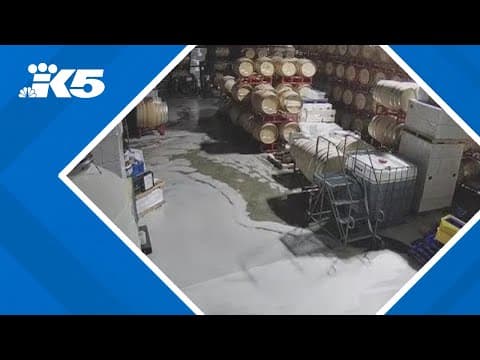Former employee sentenced for destroying $300,000 worth of wine at Woodinville winery