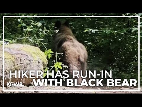 Hiker encounters bear near Lacamas Lake in Washington over the weekend