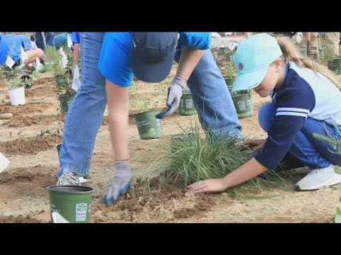 Join Nature Collective's upcoming events