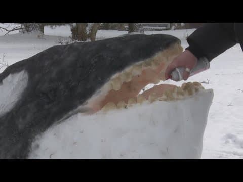 Michigan man carves whale sculpture out of snow