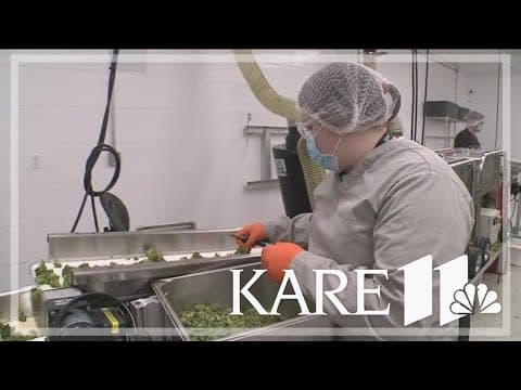 Lawmakers eye changes to marijuana law