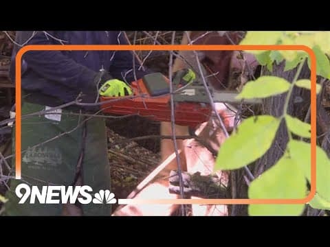 Boulder County works to mitigate wildfire risk through new ditch clearing program