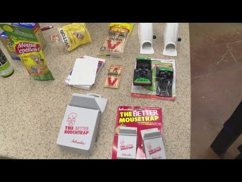 Pat Sullivan's tips for how to get rid of mice in your home