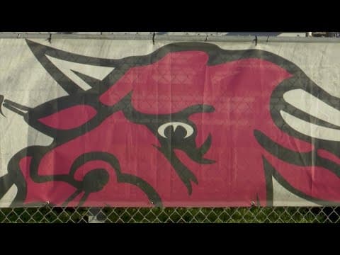 Bellville High School football team is ready for Texas state championship