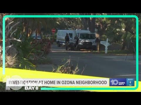Pinellas County Sheriff's Office responds to 'disturbance' in Ozana community