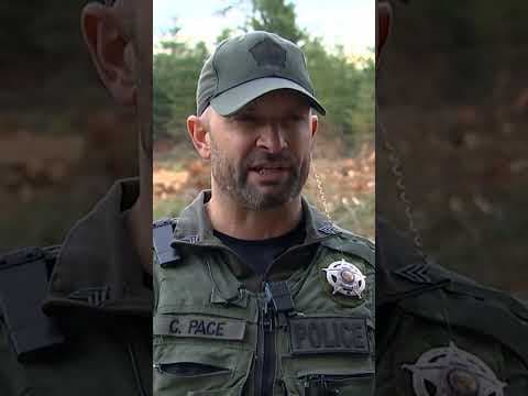 Cougar attacks and injures cyclist near Snoqualmie