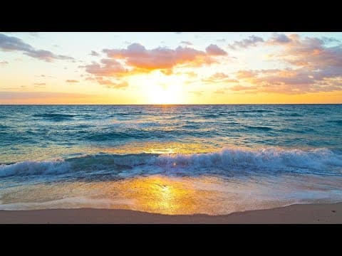 Learning how to preserve our oceans ahead of World Oceans Day