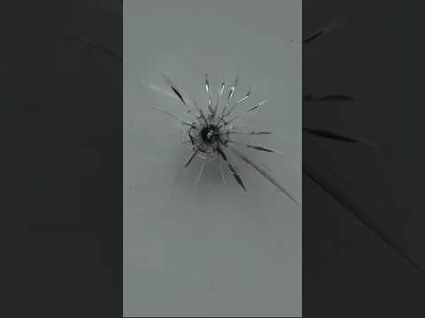 Clackamas County Democratic headquarters in Oregon City vandalized