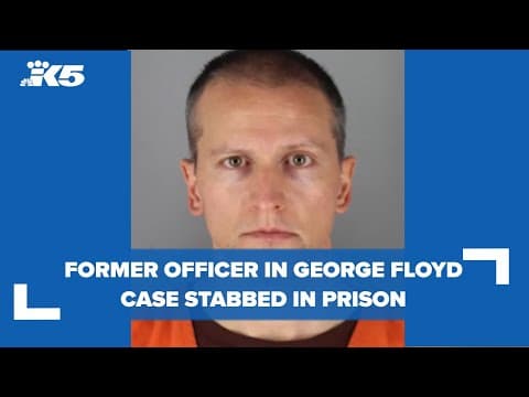Former Minneapolis police officer Derek Chauvin reportedly stabbed in Arizona prison