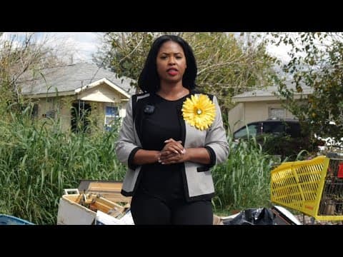 Houston mayoral race: Robin Williams