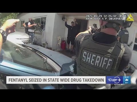 Fentanyl seized in statewide drug takedown