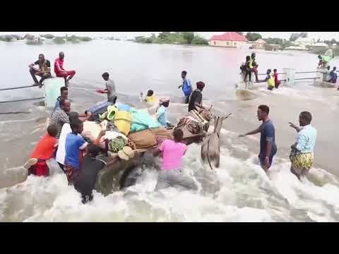 Floods kill dozens in Somalia