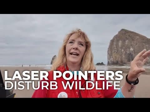 Cannon Beach police warn laser pointers disturb Haystack Rock wildlife