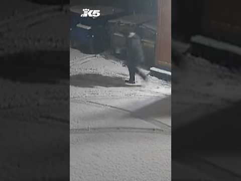 West Seattle restaurant targeted in 'egg burglary' amid rising prices