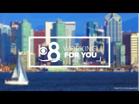 Working for You | Week of November 27