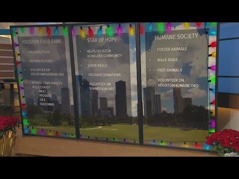 Ways to give back this holiday season