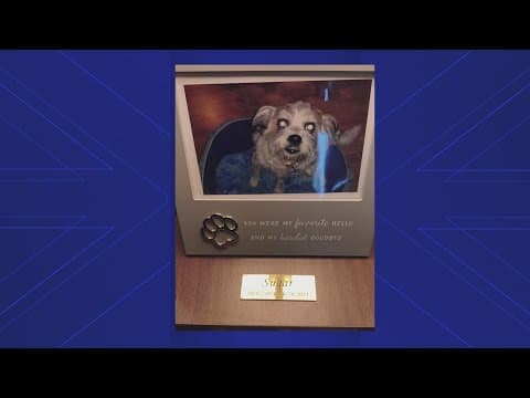 Burglars break into family's apartment in southwest Houston and steal their late dog's ashes