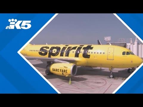 Spirit Airlines furloughing employees in attempt to return to profitability