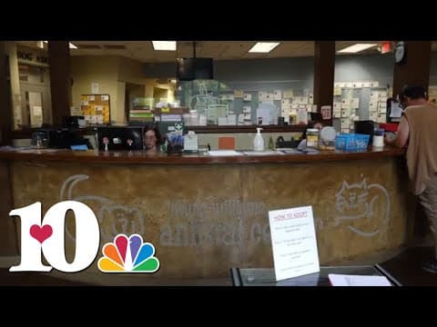 Young-Williams holds weekend adoption event in response to overcrowding