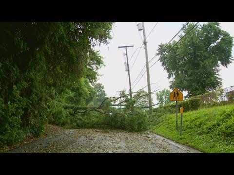 Storm damage in Capitol Heights brings large trees down