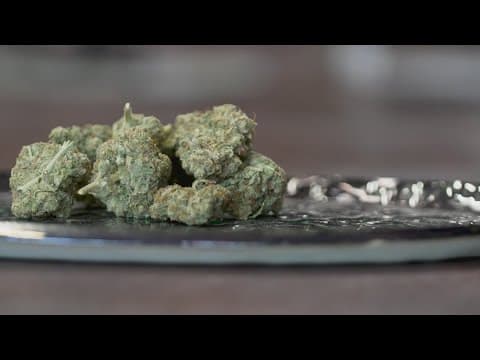 Satire on sale: THC marketing plan