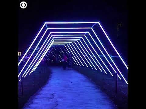 Christmas lights show debuts at Royal Botanic Garden in London #shorts