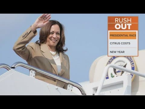 DNC to open its electronic roll call today to decide Democratic nominee