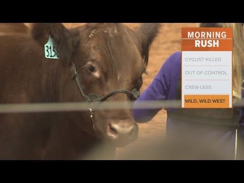 Tickets for the Fort Worth Stock Show and Rodeo are on sale now