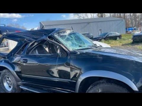 VIDEO: Man, 2 dogs rescued from lake after car crash