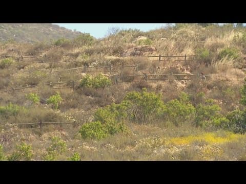 Excessive Heat Warning in effect with areas in East County expected to hit triple-digits