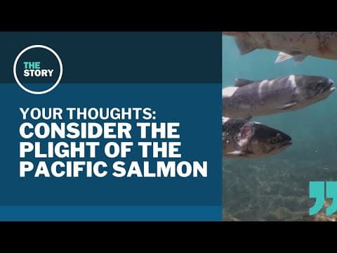 The state of Pacific salmon | Your Thoughts