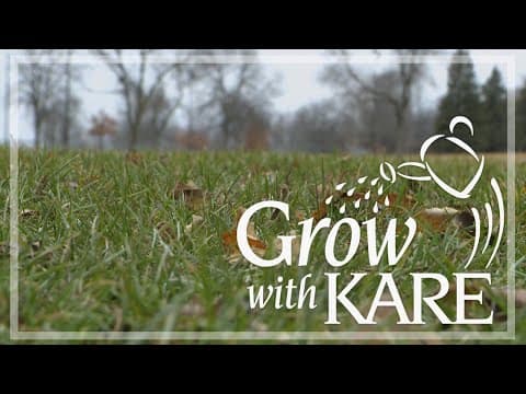 Grow with KARE: Garden dos and don'ts in warm winter weather