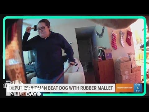 Hillsborough County woman accused of beating dog with rubber mallet