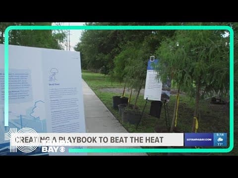 Tampa launches community preparedness campaign for the heat
